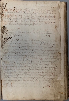 Lay judge records of Myślenice 1700-1725, no. 020