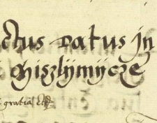 King Zygmunt I the Old grants the burghers and suburban dwellers of Myślenice a save conduct pass, permitting them, for the duration of their journey to and return from the issue of this letter until next Christmas, not to be drawn on in any matter whatsoever, and no coercive measures may be taken against them