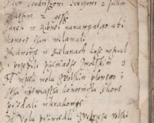 Criminal Records of City of Miechów, case 7